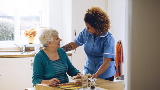 live-in-care-giver-1272x734 live-in-care-giver-1272x734